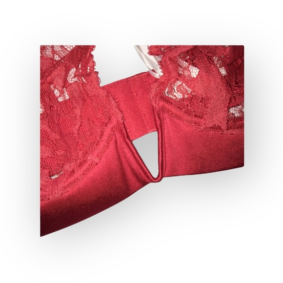 new Mimi Holliday ❤︎ Poison Ivy V Plunge ❤︎ Heart Shaped Lace Bra ❤︎ Scarlet Red - Picture 11 of 16